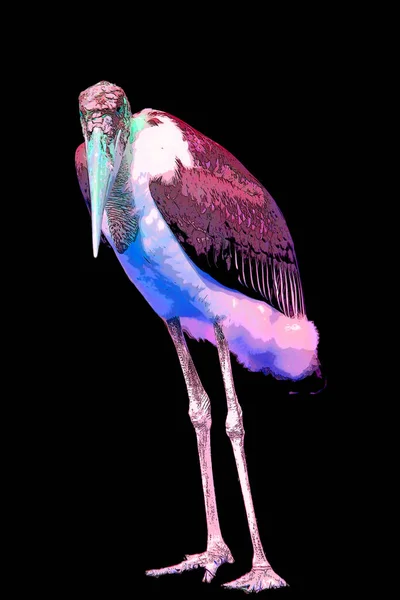 Marabou Stork Leptoptilos Crumeniferus Renk Lekeli Pop Art Arkaplan Simgesini — Stok fotoğraf