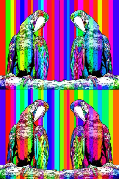 Scarlet Macaw Ara Macao Tecken Illustration Pop Art Bakgrund Ikon — Stockfoto