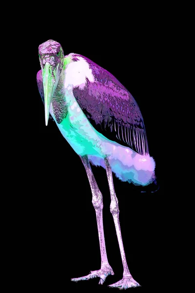 Der Marabou Storch Leptoptilos Crumeniferus Zeichen Illustration Pop Art Hintergrund — Stockfoto