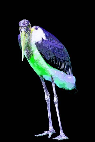 Marabou Stork Leptoptilos Crumeniferus Znamení Ilustrace Pop Art Pozadí Ikona — Stock fotografie