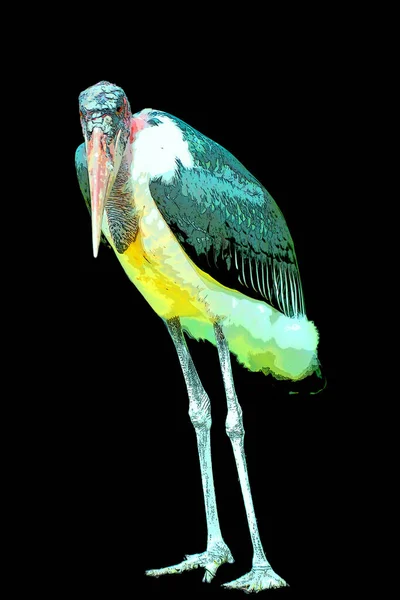 Marabou Stork Leptoptimistic Los Crumeniferus签署了带有色斑的流行艺术背景图标 — 图库照片