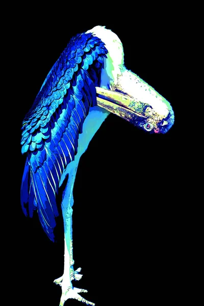 Marabou Stork Leptoptilos Crumeniferus Renk Lekeli Pop Art Arkaplan Simgesini — Stok fotoğraf