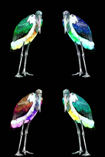 Marabou Stork Leptoptilos Crumeniferusサインイラストポップアートの背景アイコンとカラースポット — ストック写真