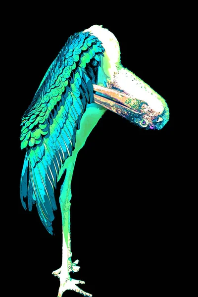 Marabou Stork Leptoptilos Crumeniferus Sign Illustration Pop Art Background Icon — Stock Photo, Image