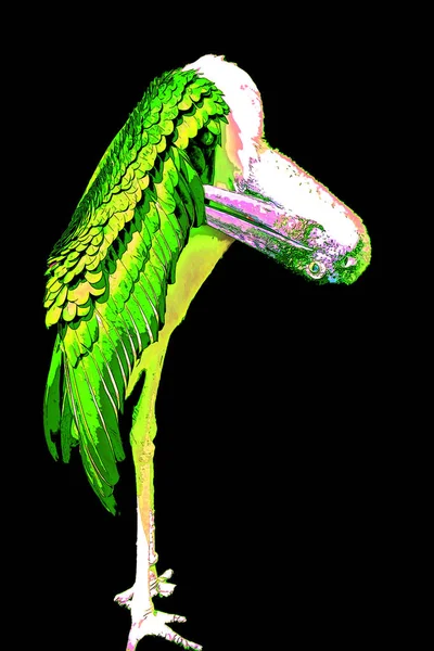 Марабовый Аист Leptoptilos Crumeniferus Знак Иллюстрации Фоновый Значок Поп Арта — стоковое фото