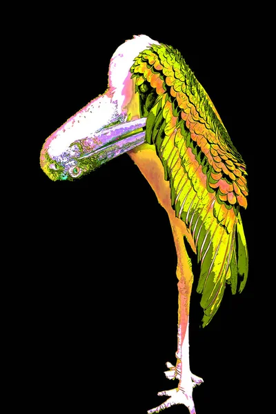 Marabou Stork Leptoptilos Crumeniferusサインイラストポップアートの背景アイコンとカラースポット — ストック写真