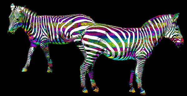 Zebras Sinal Ilustração Pop Art Ícone Fundo Com Manchas Cor — Fotografia de Stock