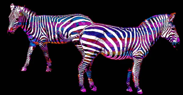 Zebras Sinal Ilustração Pop Art Ícone Fundo Com Manchas Cor — Fotografia de Stock