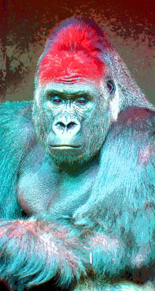 Gorilla符号图解带有色斑的流行艺术背景图标 — 图库照片