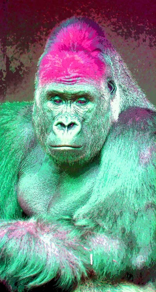 Gorilla Σημάδι Εικονογράφηση Pop Art Εικονίδιο Φόντου Κηλίδες Χρώματος — Φωτογραφία Αρχείου