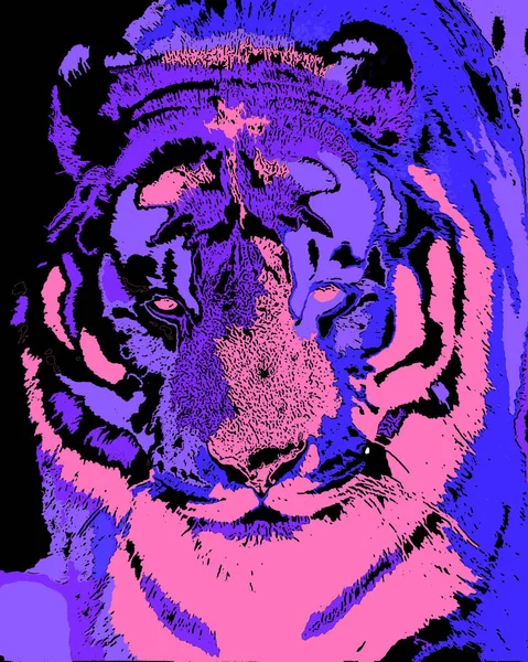 Tiger Signe Illustration Pop Art Icône Fond Avec Des Taches — Photo