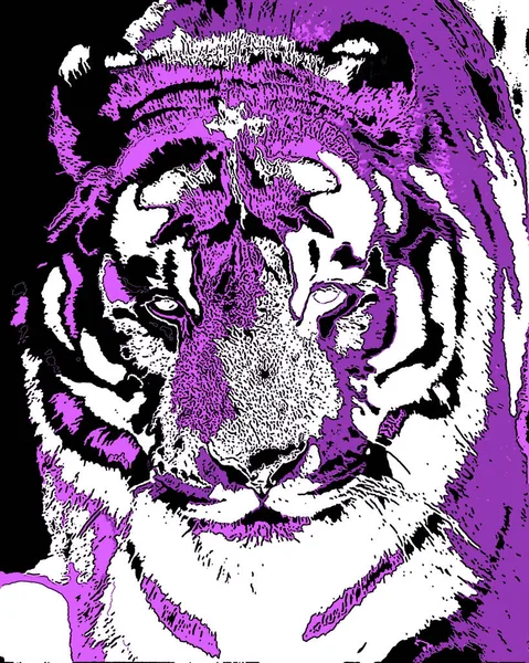 타이거 Tiger Pop Art Background Icon Color Spot — 스톡 사진