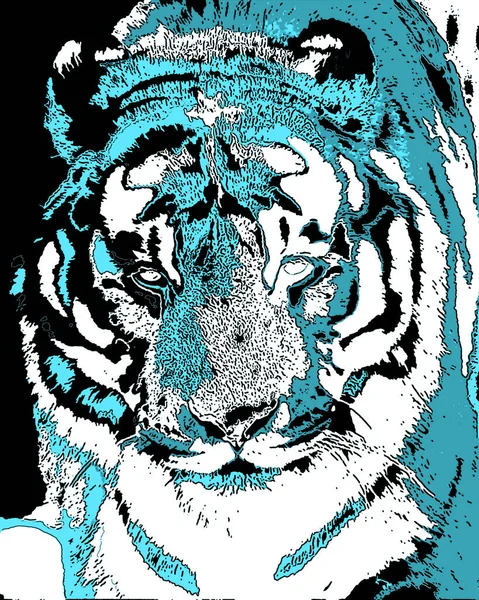 Tiger Segno Illustrazione Pop Art Icona Sfondo Con Macchie Colore — Foto Stock