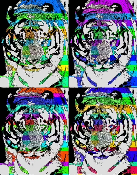 Tiger Merkki Kuvitus Pop Art Tausta Kuvake Väri Täpliä — kuvapankkivalokuva