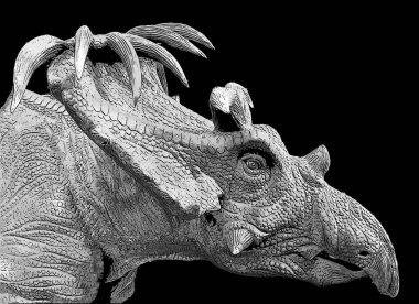 Kosmoceratops, Kuzey Amerika 'da yaşayan bir ceratopsid dinozor cinsi. 