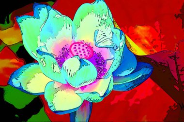 Lotus çiçek işareti resimleme arkaplan simgesi ile canlı renk