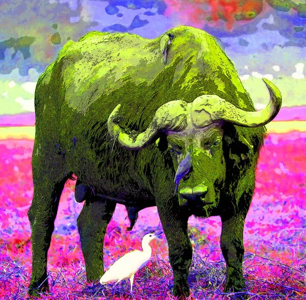 アフリカの水牛のサインイラストのポップアートの背景のアイコンとカラースポット — ストック写真