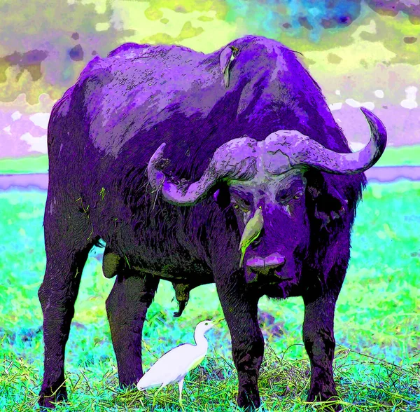 非洲水牛标志图上有彩色斑点的流行艺术背景图标 — 图库照片