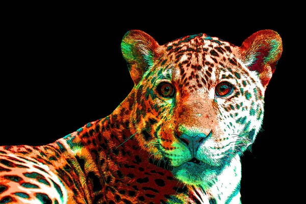 Εικονογράφηση Σύμβολο Jaguar Pop Art Φόντο Εικονίδιο Κηλίδες Χρώματος — Φωτογραφία Αρχείου