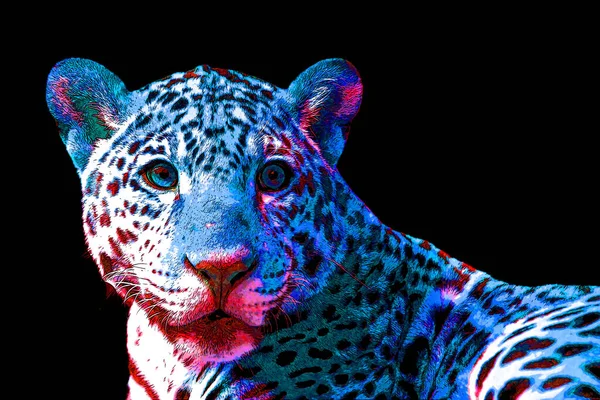 Illustration Signe Jaguar Icône Fond Pop Art Avec Des Taches — Photo