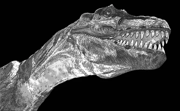 Tyrannosaurus Büyük Bir Theropod Dinozor Cinsidir Tyrannosaurus Rex Rex Theropod — Stok fotoğraf