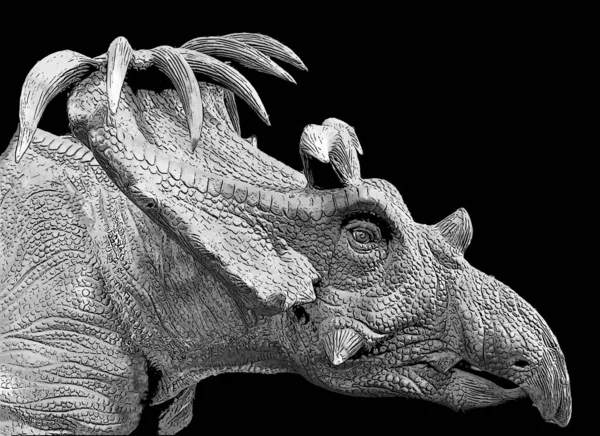 Kosmoceratops Een Geslacht Van Dinosauriërs Die Leefden Noord Amerika Teken — Stockfoto