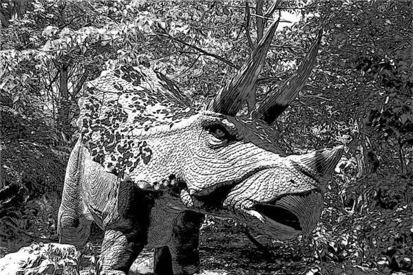 Triceratops Est Genre Éteint Dinosaure Cératopsidé Chasmosaurine Herbivore Apparu Pour — Photo