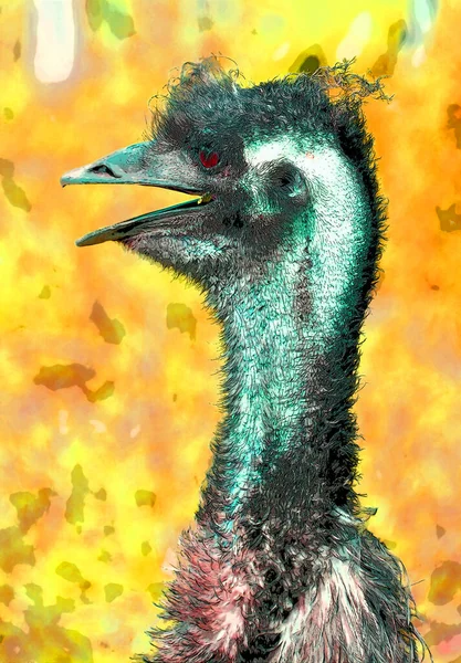 Greater Rhea Rhea Americana Ist Ein Flugunfähiger Vogel Der Osten — Stockfoto
