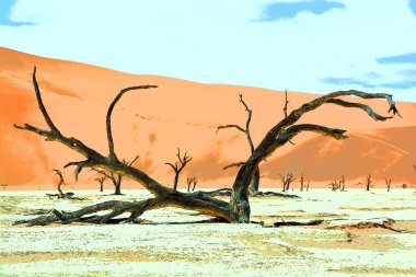 Deadvlei, Namibya Namibya 'daki Namib-Naukluft Parkı' nın içindeki Sossusvlei 'nin en ünlü tuz tavasının yanında bulunan beyaz kil tavadır.