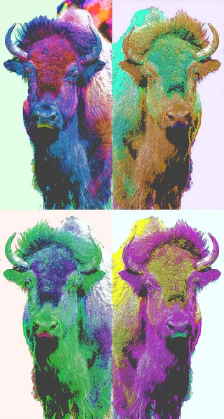 Bison Sign Illustration Pop Art Background Icon Color Spot — 스톡 사진