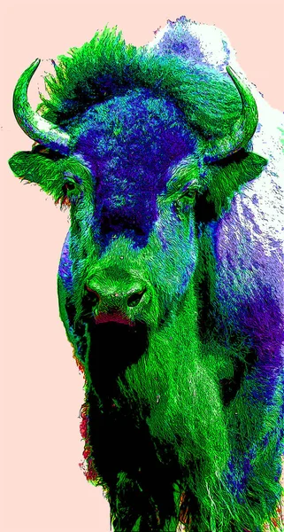 Bison Zeichen Illustration Pop Art Hintergrund Symbol Mit Farbflecken — Stockfoto