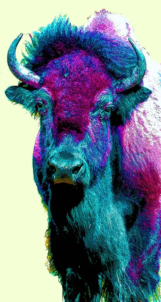 Bison Teken Illustratie Pop Art Achtergrond Pictogram Met Kleurvlekken — Stockfoto