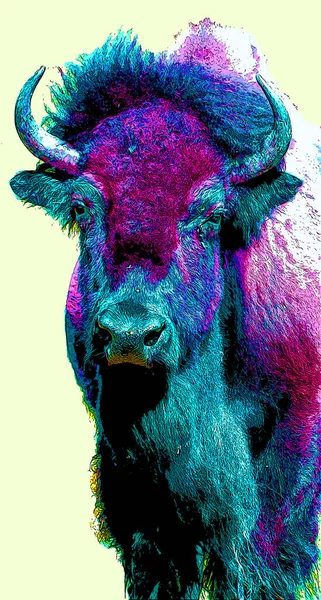 Bison Jel Illusztráció Pop Art Háttér Ikon Színes Foltok — Stock Fotó