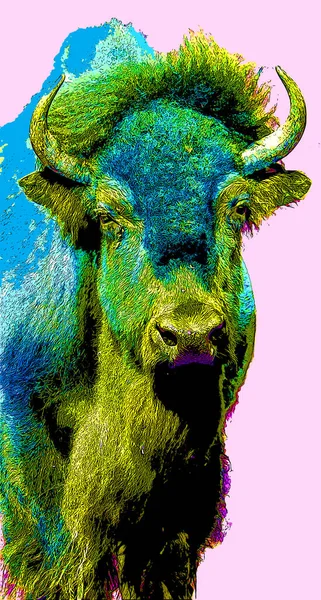 Bison Sinal Ilustração Pop Art Ícone Fundo Com Manchas Cor — Fotografia de Stock
