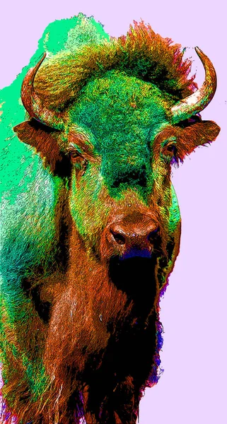 Иллюстрация Знака Бизона Иконка Поп Арта Цветовыми Пятнами — стоковое фото