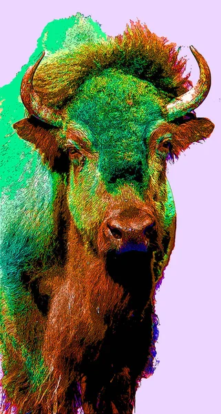 Bison Sinal Ilustração Pop Art Ícone Fundo Com Manchas Cor — Fotografia de Stock