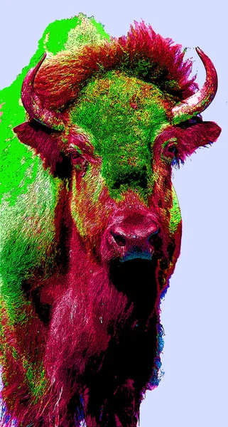 Bison Segno Illustrazione Pop Art Icona Sfondo Con Macchie Colore — Foto Stock