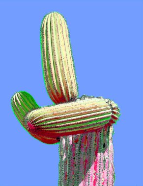 Arizona 'daki Saguaro castus gibi insanlar renk lekeli pop-art arkaplan simgesi imzalarlar.