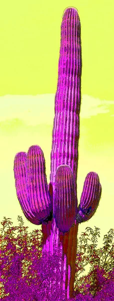 Humano Como Saguaro Castus Arizona Signo Ilustración Pop Art Fondo — Foto de Stock