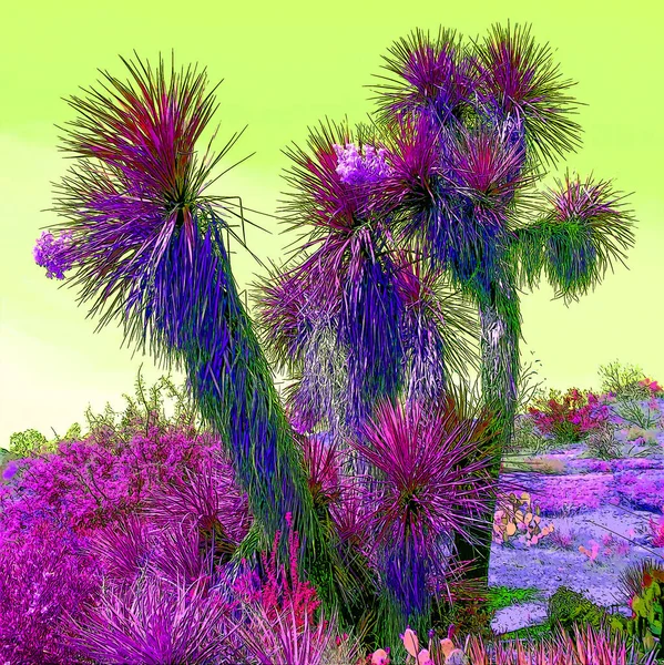 Yucca Brevifolia Una Especie Planta Perteneciente Género Yucca Como Árbol —  Fotos de Stock