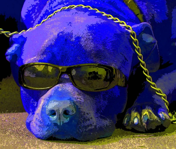 Slapen Hond Dragen Zonnebril Teken Illustratie Pop Art Achtergrond Pictogram — Stockfoto