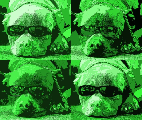 Sleeping Dog Porter Des Lunettes Soleil Signe Illustration Pop Art — Photo