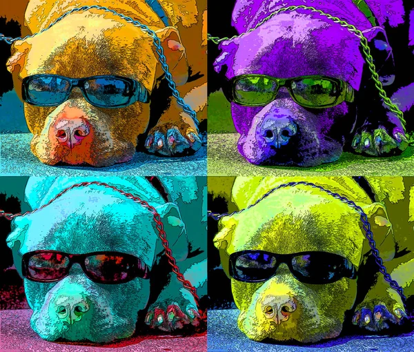 Dormir Perro Usar Gafas Sol Signo Ilustración Pop Art Icono — Foto de Stock