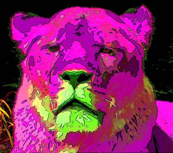 Lion Σημάδι Εικονογράφηση Pop Art Εικονίδιο Φόντου Έντονα Χρώματα Κηλίδες — Φωτογραφία Αρχείου