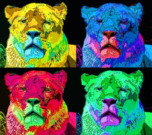 Lion Znak Ilustracja Pop Art Tło Ikona Żywe Plamy Kolorów — Zdjęcie stockowe