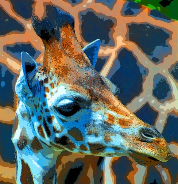 Giraffe Zeichen Illustration Pop Art Hintergrund Symbol Mit Farbflecken — Stockfoto