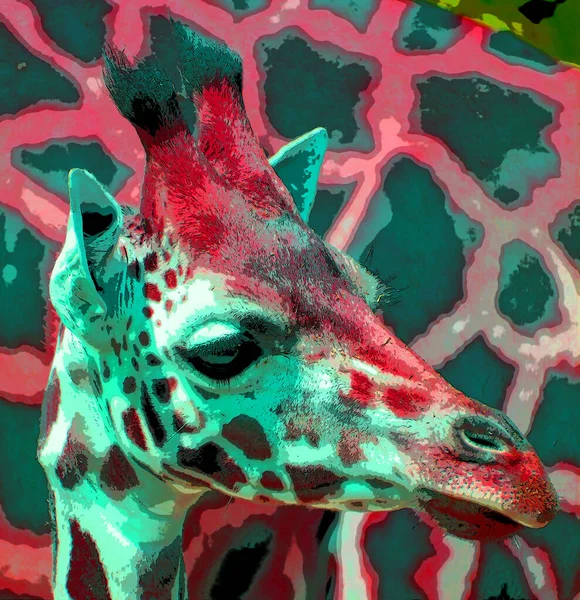 Giraffe Zeichen Illustration Pop Art Hintergrund Symbol Mit Farbflecken — Stockfoto