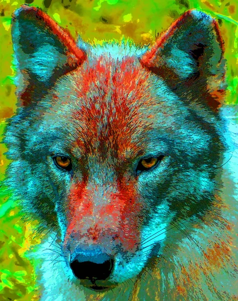 Койот Известный Американский Шакал Волк Кисть Волк Прерий Знак Иллюстрации — стоковое фото