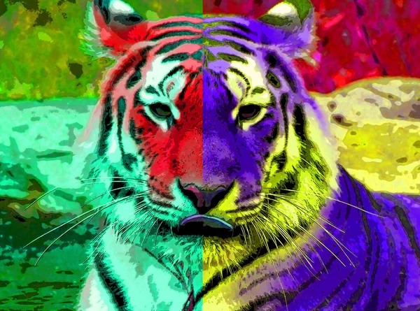 Tygr Znamení Ilustrace Pop Art Pozadí Ikona Barevnými Skvrnami — Stock fotografie