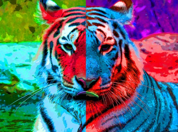 Tiger Tegn Illustration Pop Art Baggrund Ikon Med Farve Pletter - Stock-foto